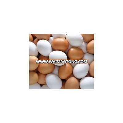 FARM FRESH WHITE EGGS / FRESH WHITE TABLE EGGS / CHICKEN EGGS